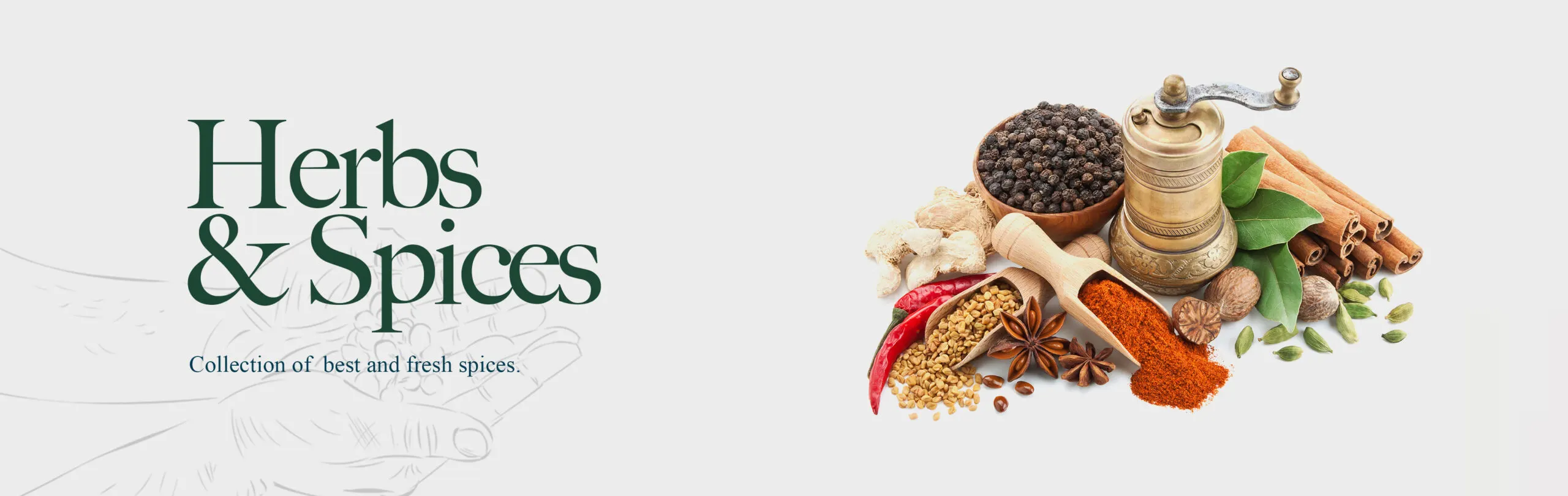 Herbs & Spices - collection of best and fresh spices