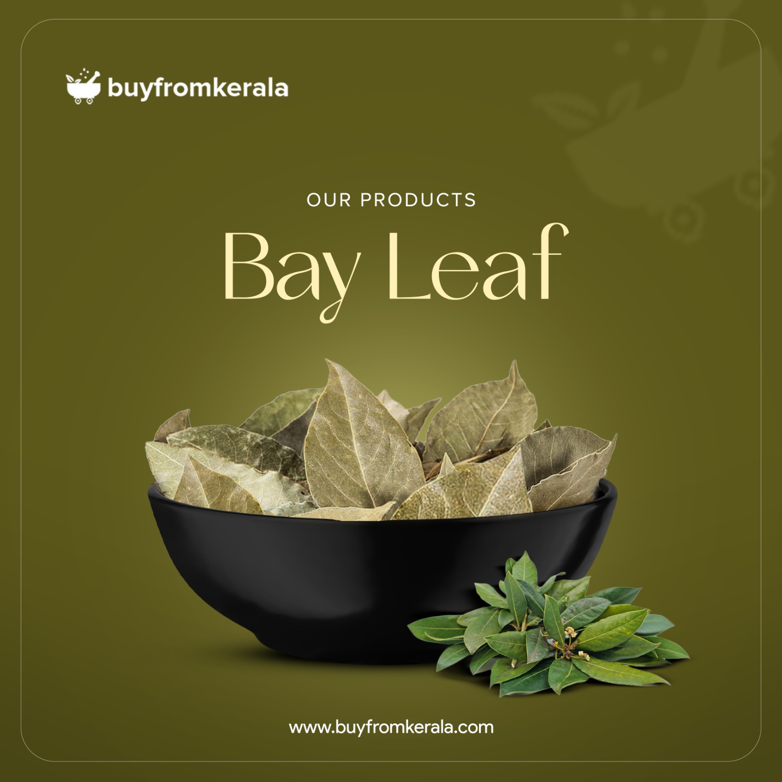 480323169_1147235573766239_6408677785169447149_n