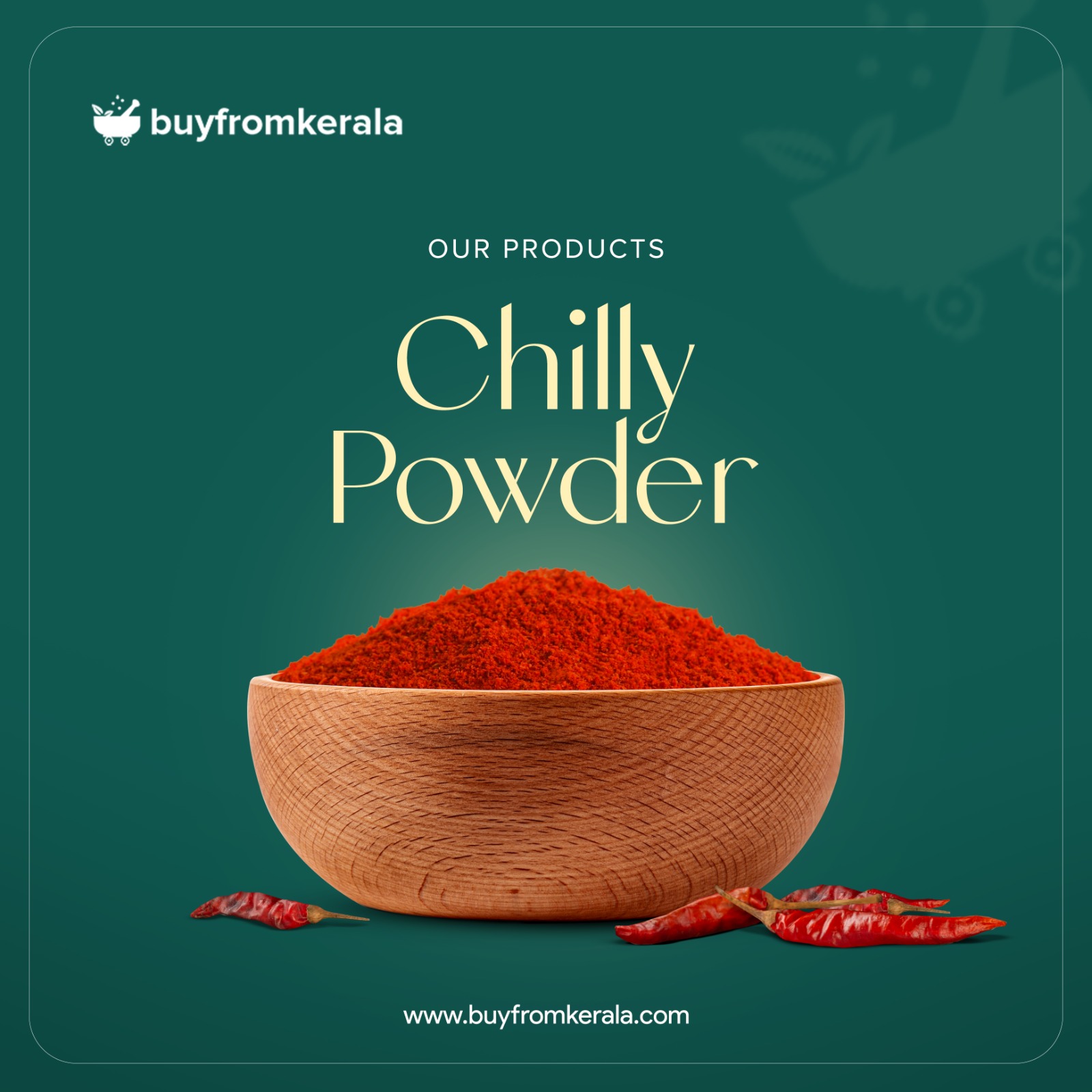 480446322_1147244587098671_7715321136038962723_n