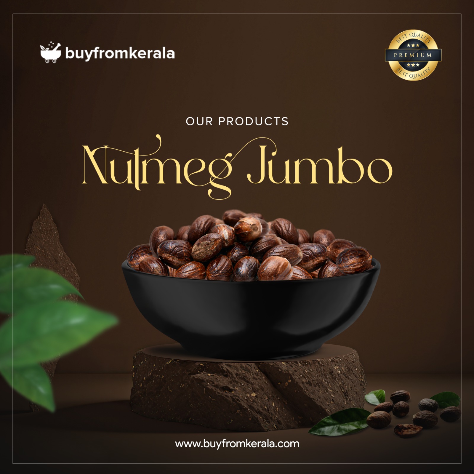 480484610_1147234670432996_4842133451532707682_n