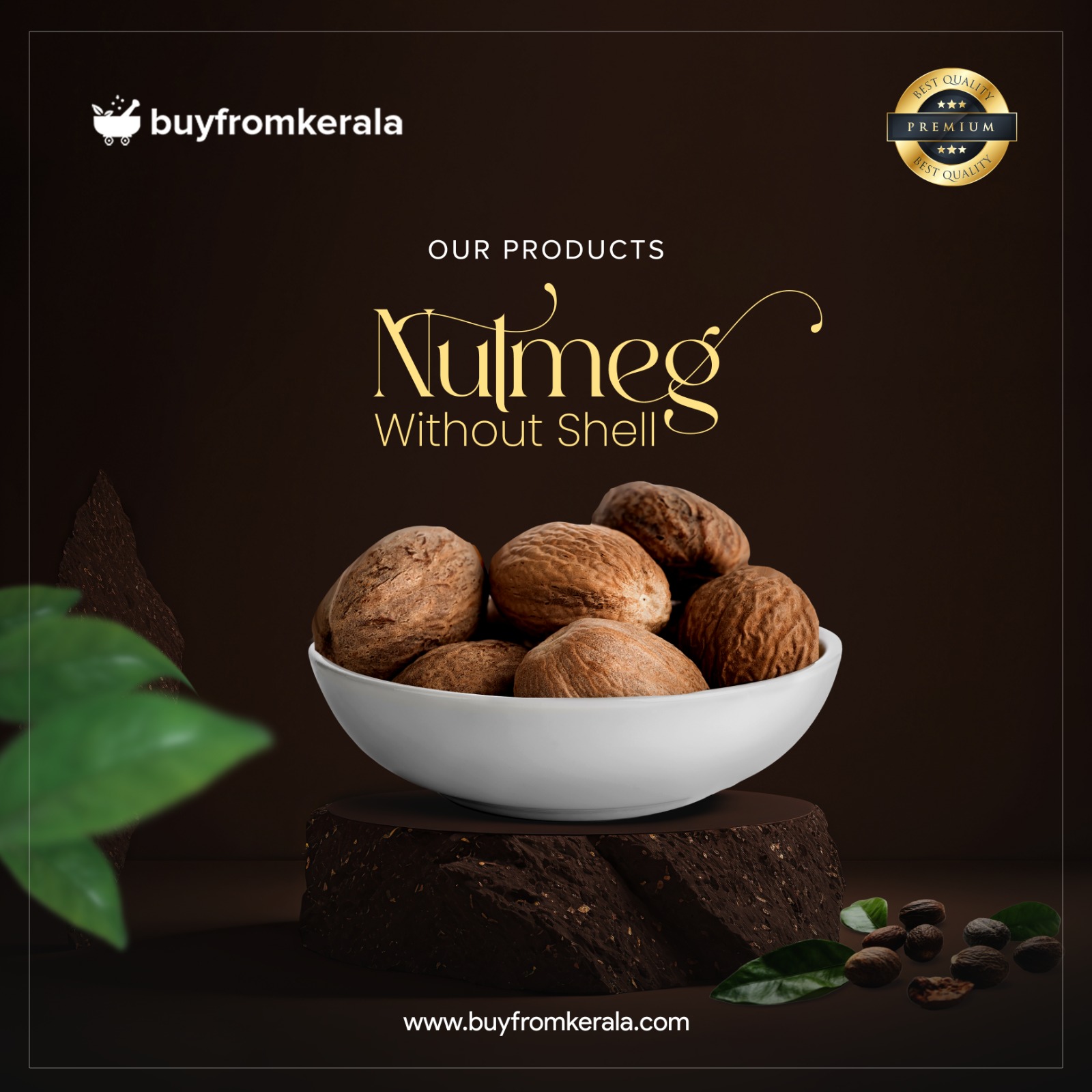 480524349_1147234767099653_8028059047568611391_n