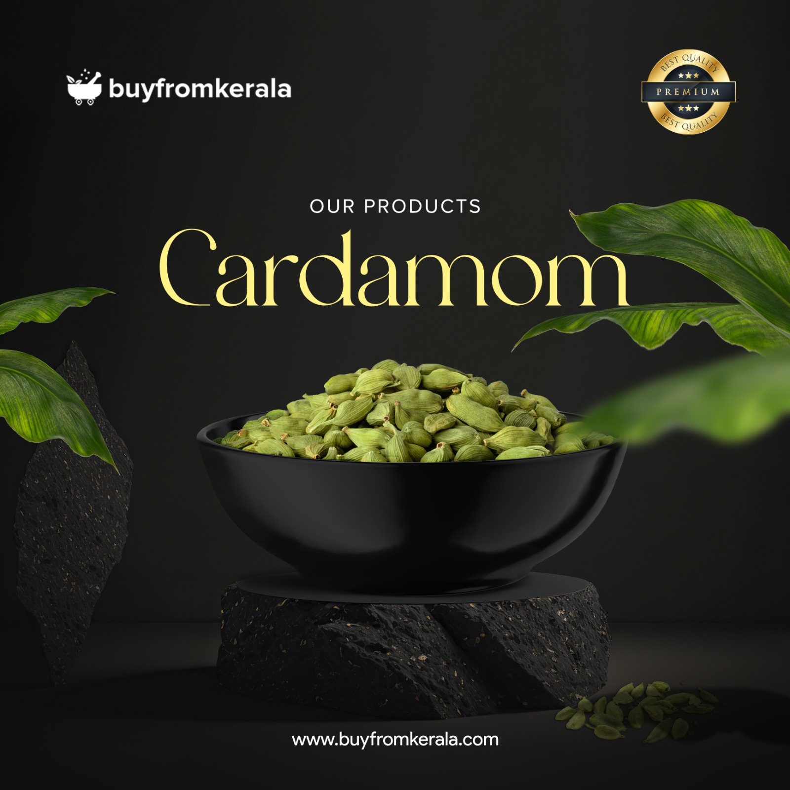 480736586_1147234583766338_5163236105713605756_n