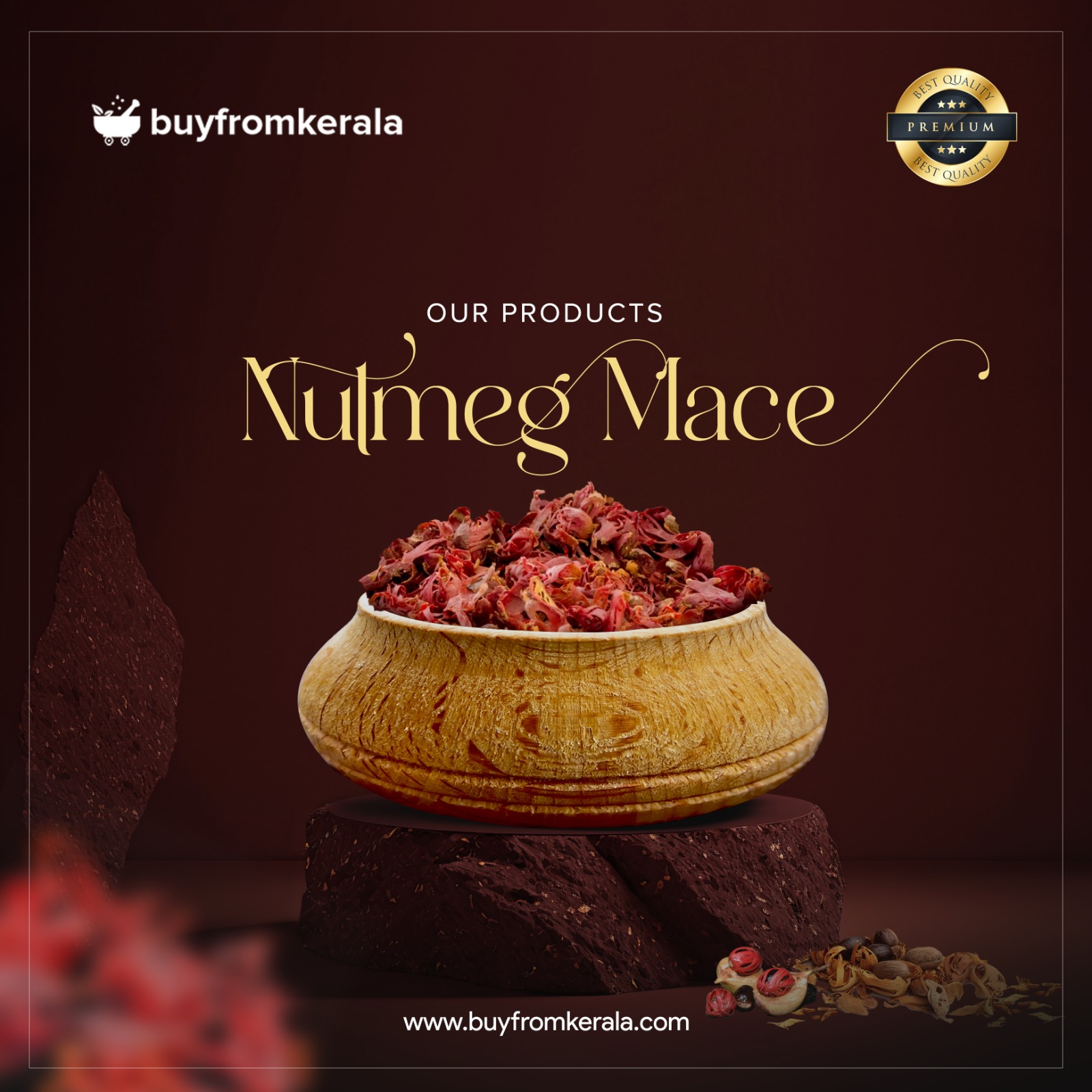 480754931_1147234593766337_7050340728660816212_n