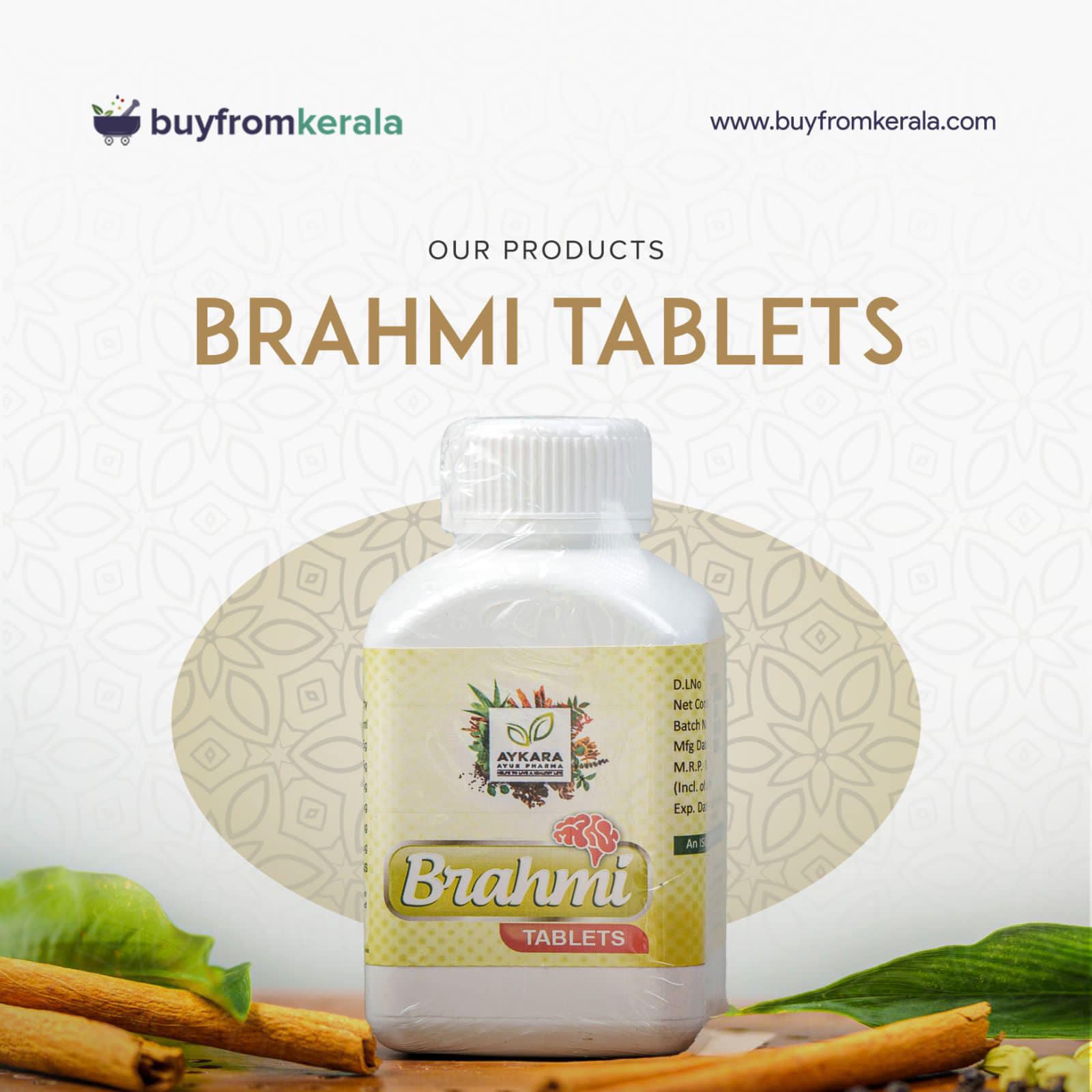 480764036_1148386536984476_7746597435399973450_n-2