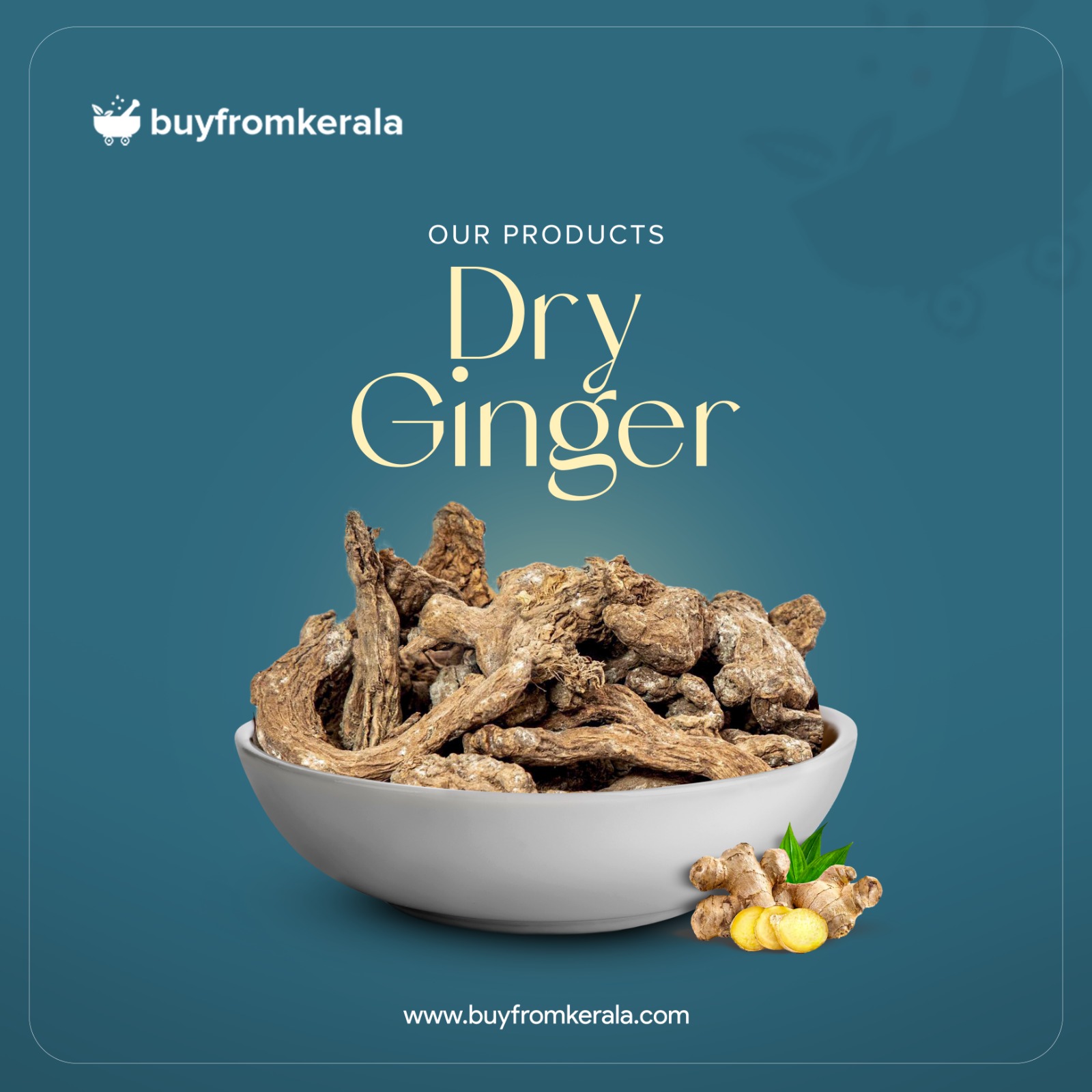 480764749_1147236800432783_909744041133774610_n