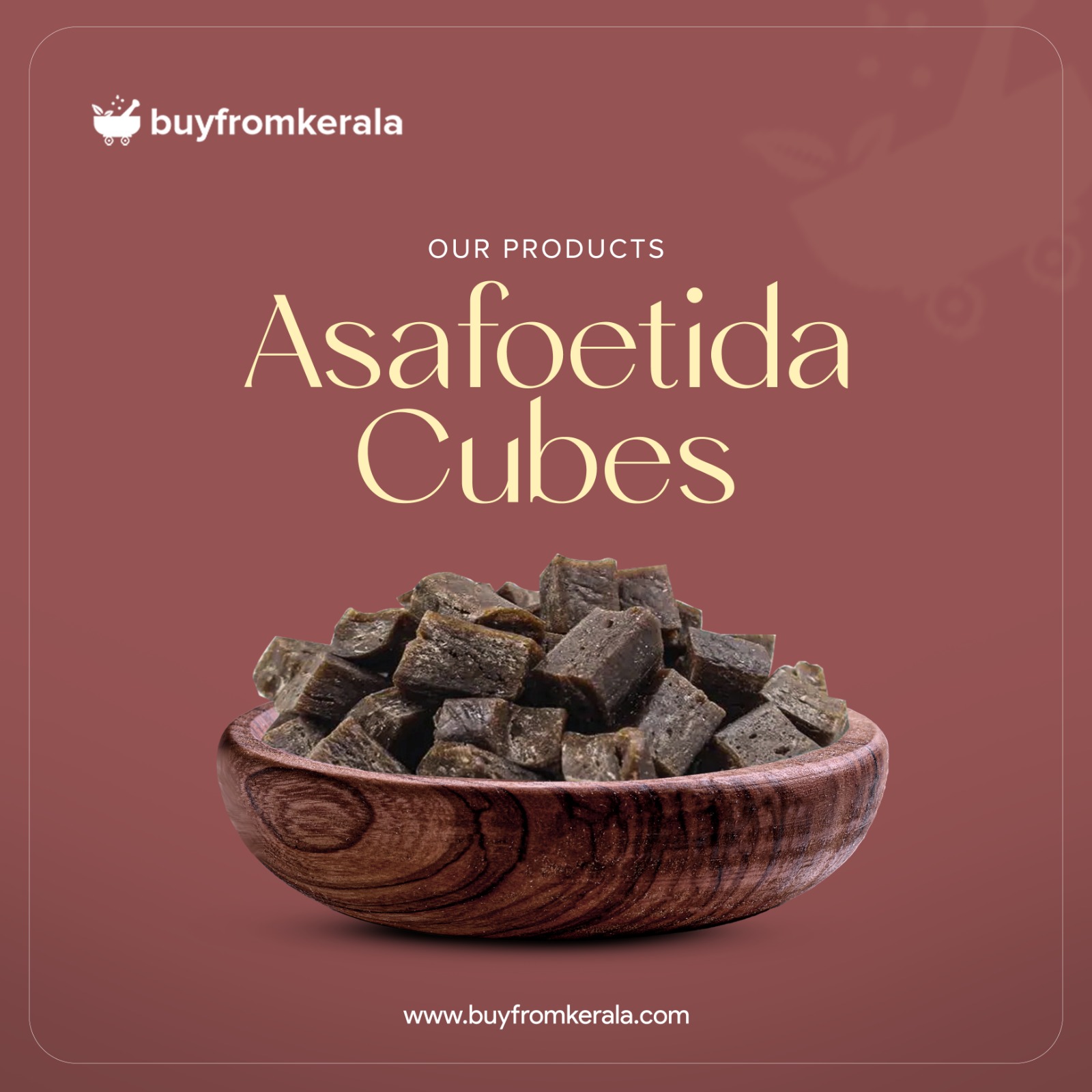 480887176_1147235450432918_1533132883020826877_n