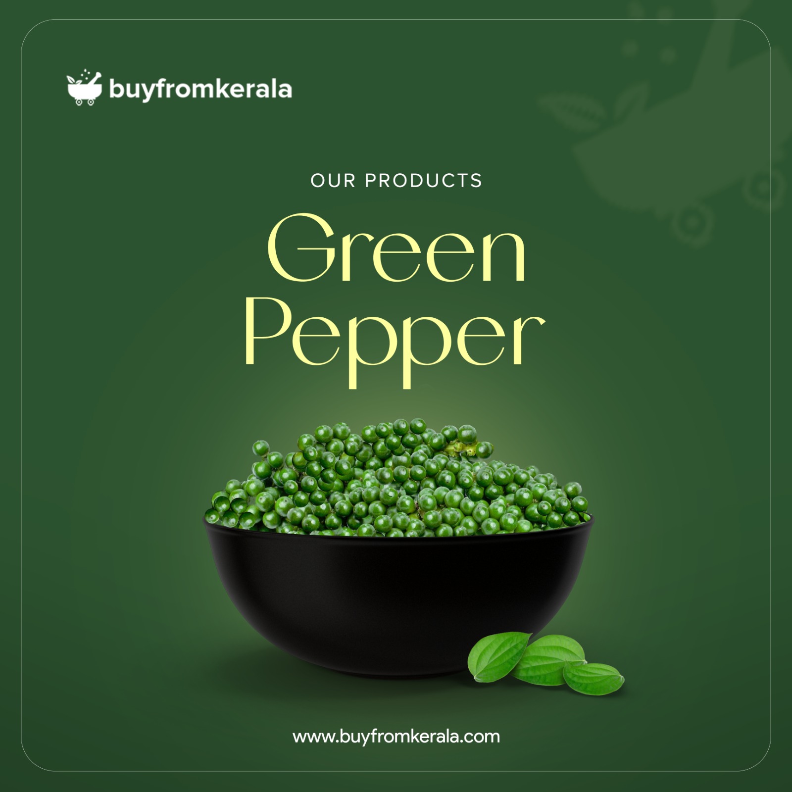 480912490_1147256603764136_6611870135819001055_n