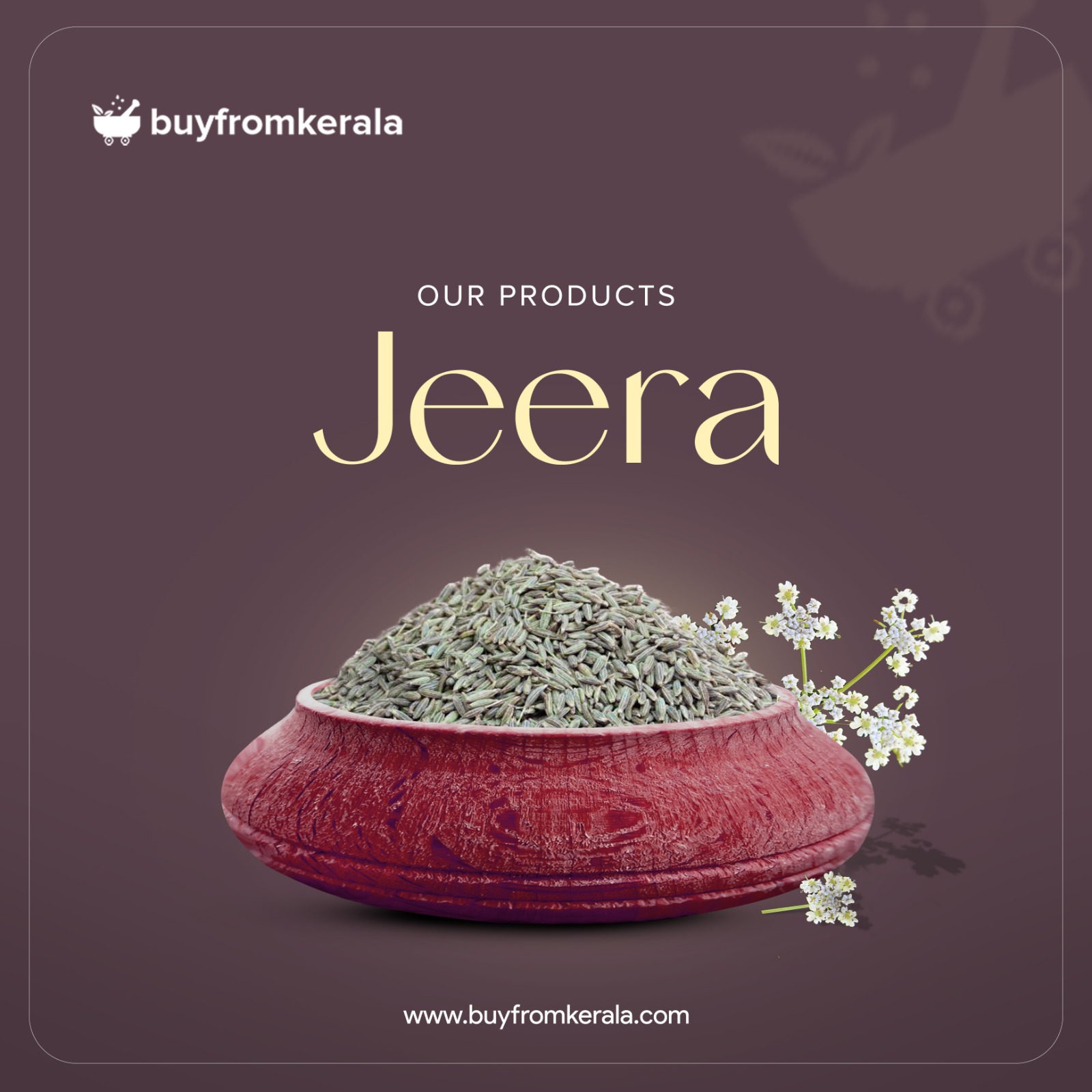 481062244_1147254313764365_5459358053555098830_n