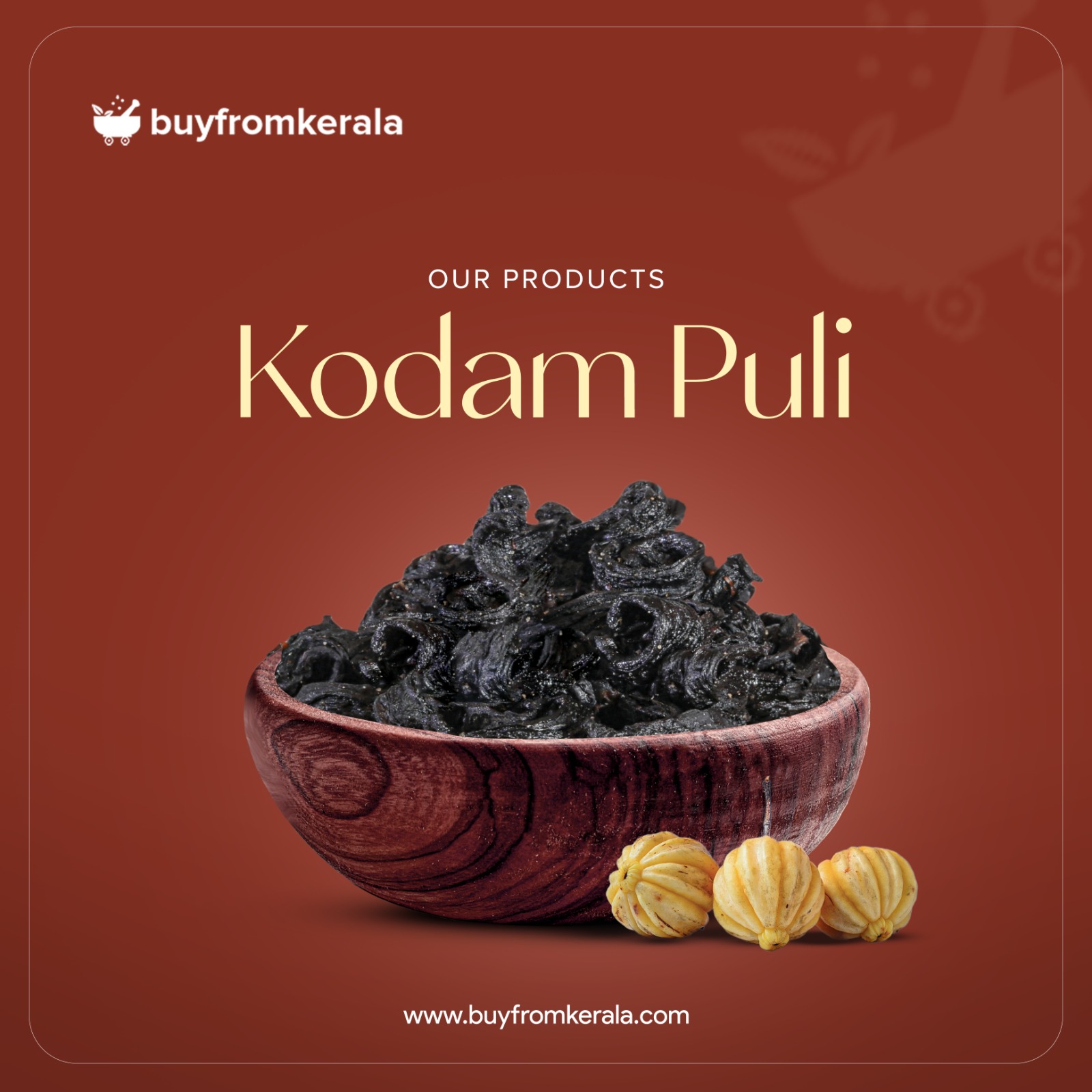 481254935_1147693170387146_7671052188034130911_n