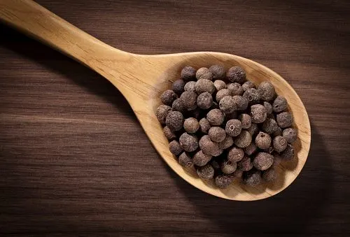 All Spices100gm