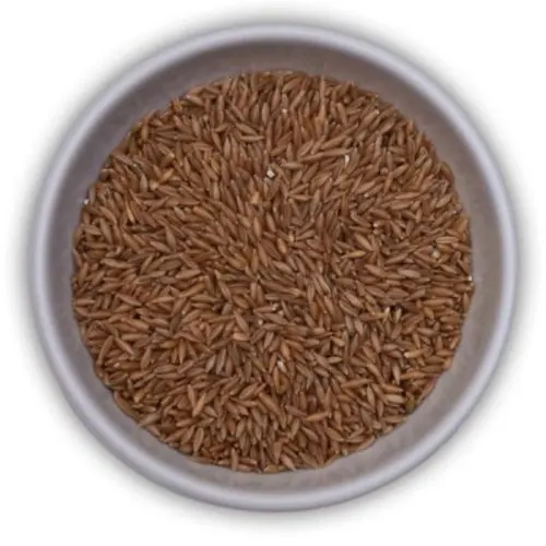 BAMBOO RICE