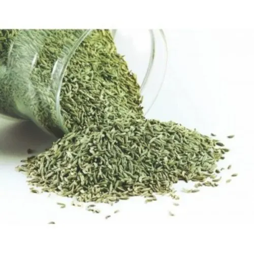 FENNEL