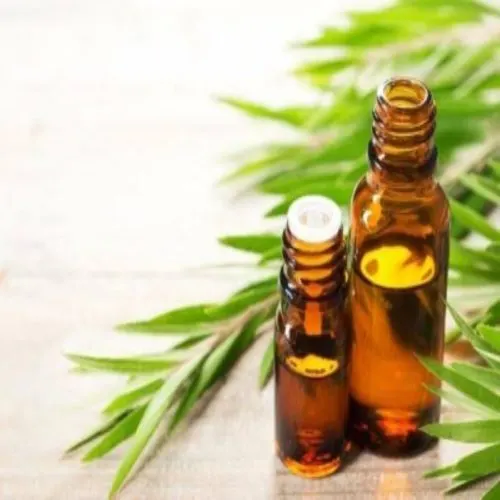 TREE TEA OIL