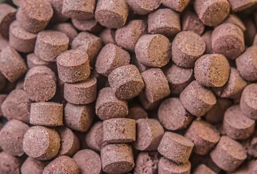 ASAFOETIDA CUBES