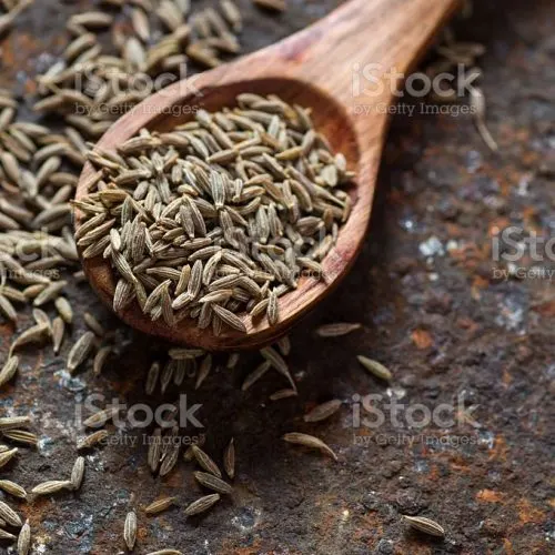 SA JEERA
